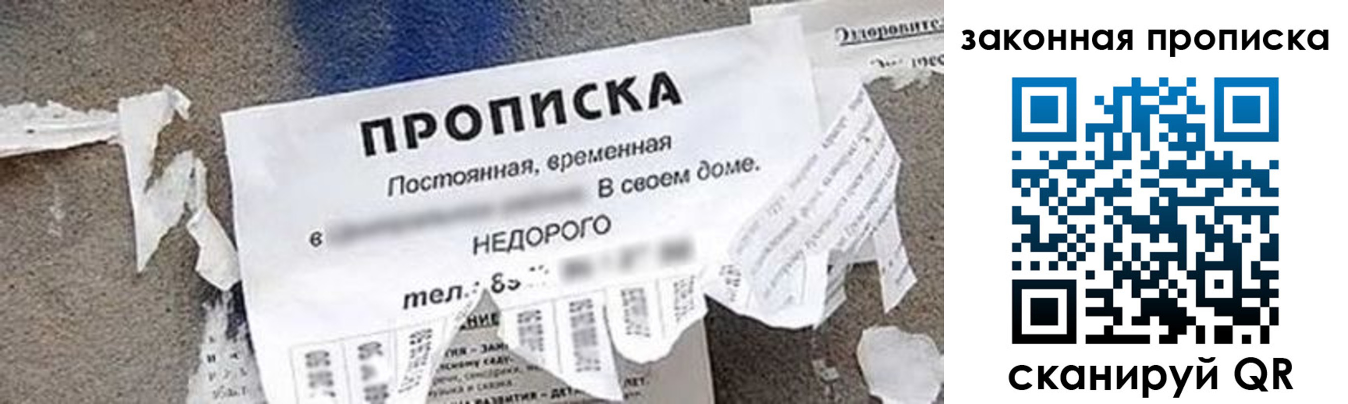 прописка иностранных граждан в Волосово